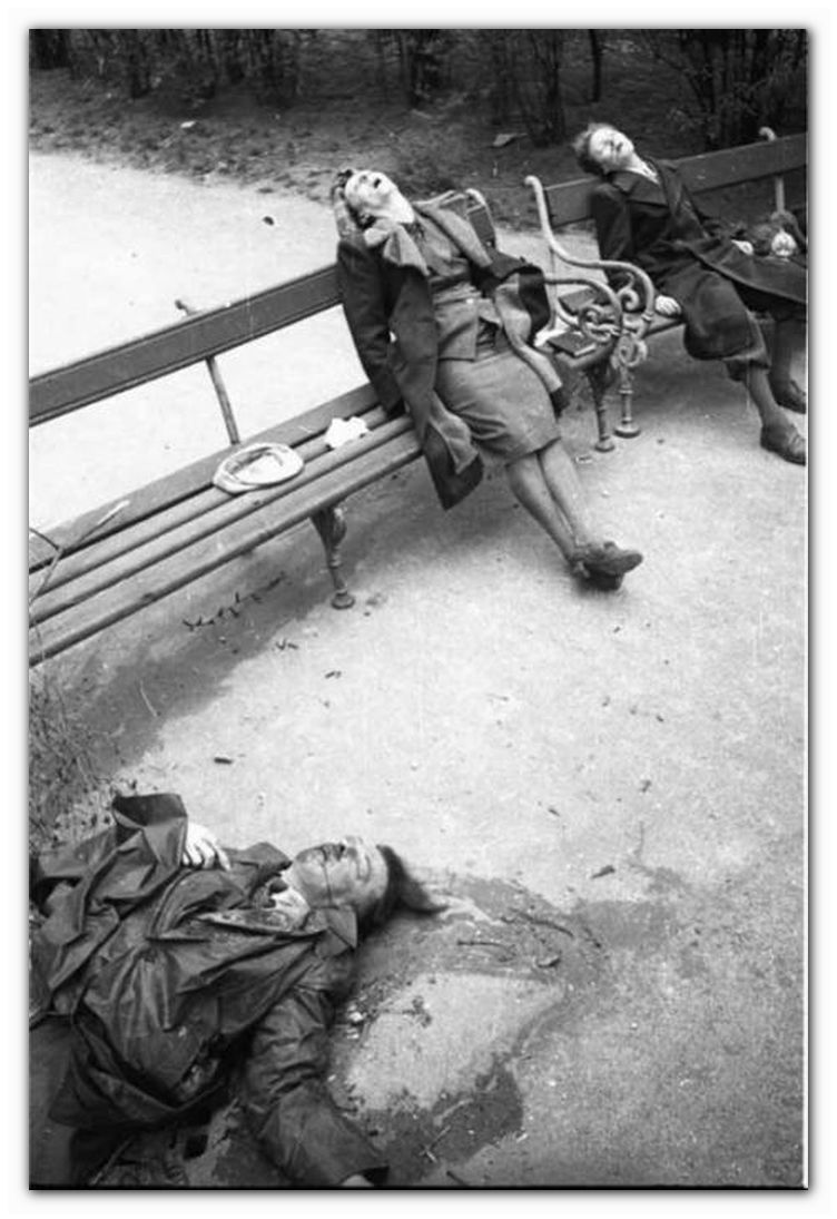 Женщины освобождённой Европы глазами советских солдат и офицеров (1944-1945 гг.)