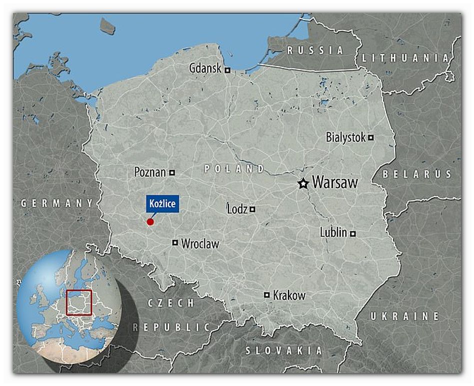 The gruesome find was uncovered in the village of Kożlice in southwest Poland,