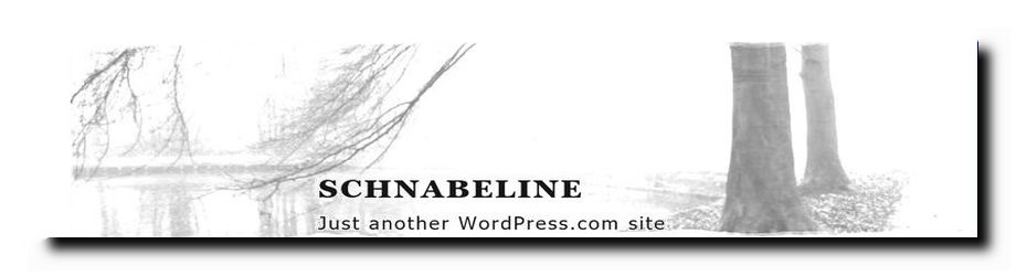 http://schnabeline.wordpress.com/