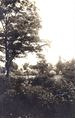 Архивная фотография